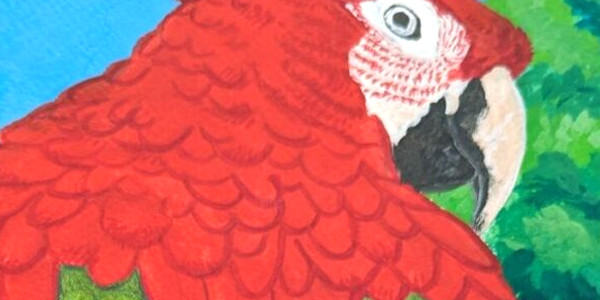 Gouache Perroquet