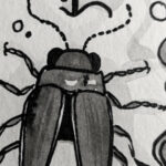 inktober jour 23 firefly