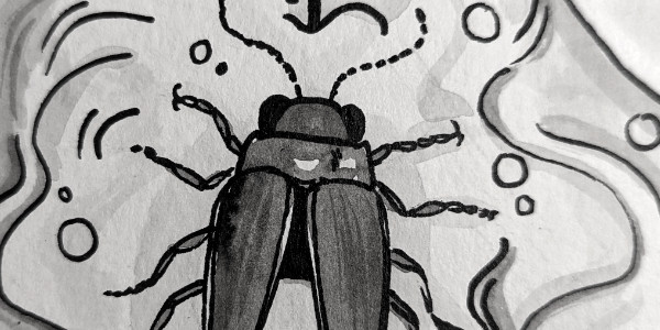 inktober jour 23 firefly