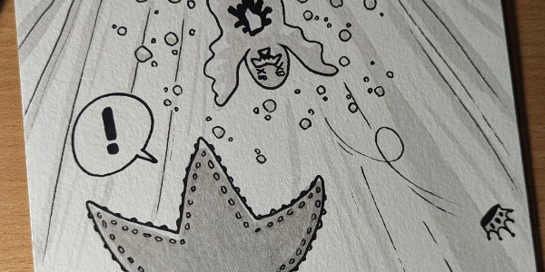 Inktober – Jour 7 – Etoile de mer